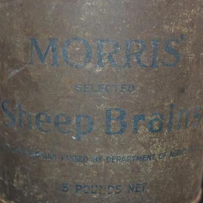 Antique Morris' 5lb. Sheep Brains Tin 6.25