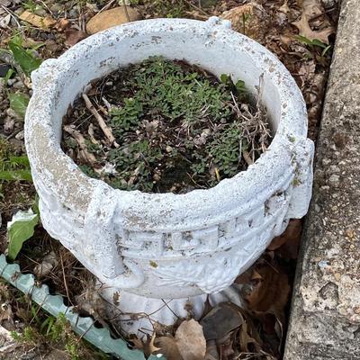 2 Concrete Planters