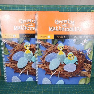 Extra Large Growing with Mathematics Books