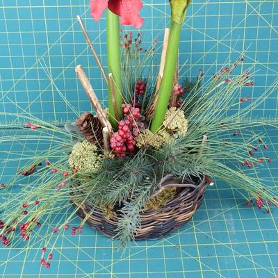 Tall Red Flowers in Basket