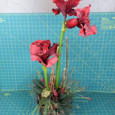 Tall Red Flowers in Basket