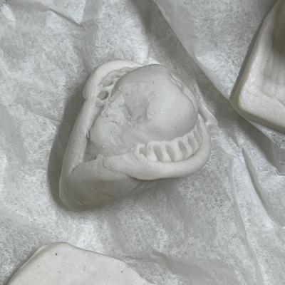 Porcelain sea shell angel ornaments