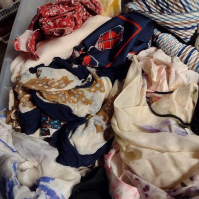 Assorted Scarves and Evening Bags