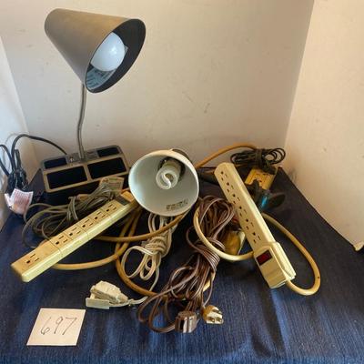 Light and Cord Lot