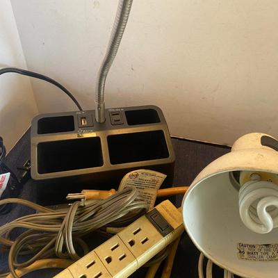 Light and Cord Lot