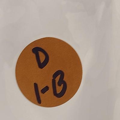 Assorted Fashion Jewelry- Necklaces, Rings, Bracelets, etc. (D1)