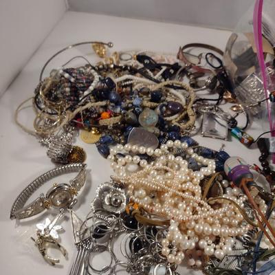 Assorted Fashion Jewelry- Necklaces, Rings, Bracelets, etc. (D1)