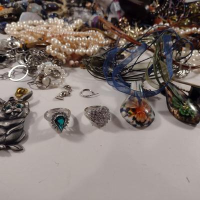 Assorted Fashion Jewelry- Necklaces, Rings, Bracelets, etc. (D1)