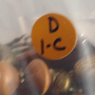 Assorted Fashion Jewelry- Necklaces, Rings, Bracelets, etc. (D1)