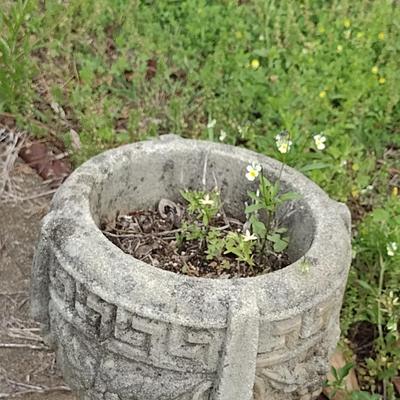Concrete Urn Planter- Approx 9" in Diameter