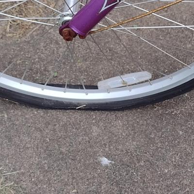 Schwinn Meridian Trike