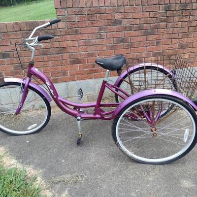 Schwinn Meridian Trike