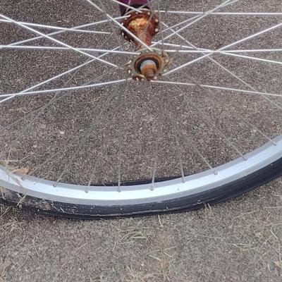 Schwinn Meridian Trike