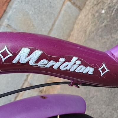 Schwinn Meridian Trike