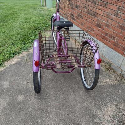 Schwinn Meridian Trike