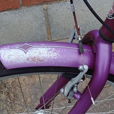 Schwinn Meridian Trike