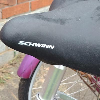Schwinn Meridian Trike