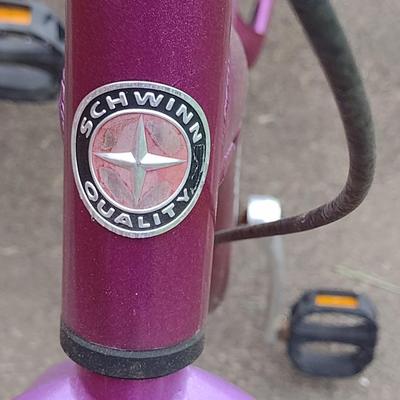 Schwinn Meridian Trike