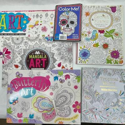 Big Lot of Adult Coloring Books - many themes