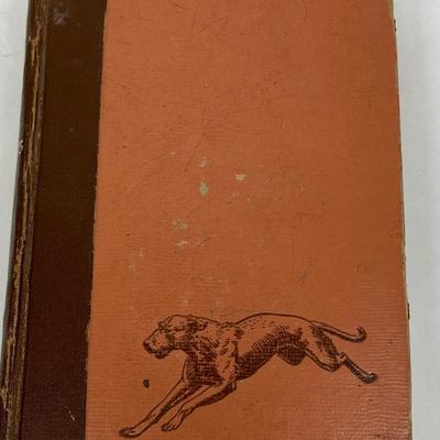 104 Yrs. Old! / Beautiful Joe / Marshall Saunders / 1920 Edition Antique Animal Story Book / Humane Society