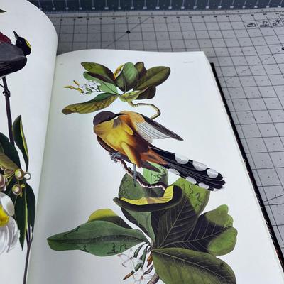 John James Audubon Birds of American NICE BOOK!!!! 