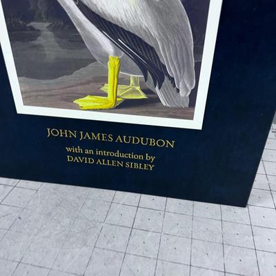John James Audubon Birds of American NICE BOOK!!!! 