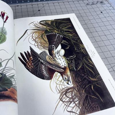 John James Audubon Birds of American NICE BOOK!!!! 