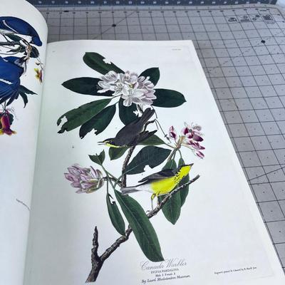 John James Audubon Birds of American NICE BOOK!!!! 