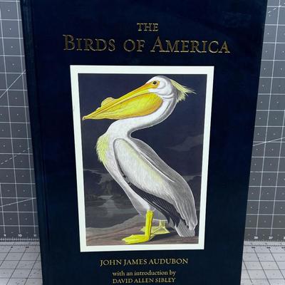 John James Audubon Birds of American NICE BOOK!!!! 