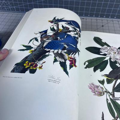 John James Audubon Birds of American NICE BOOK!!!! 
