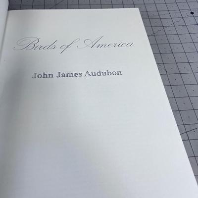 John James Audubon Birds of American NICE BOOK!!!! 