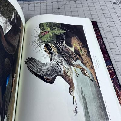John James Audubon Birds of American NICE BOOK!!!! 