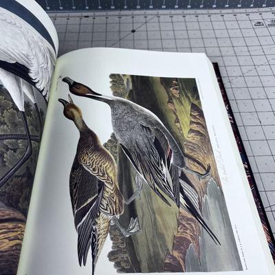 John James Audubon Birds of American NICE BOOK!!!! 