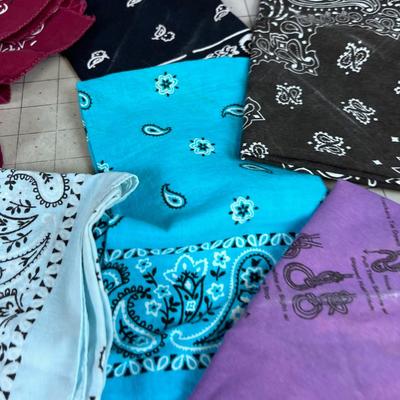 all the BANDANAS in the World 