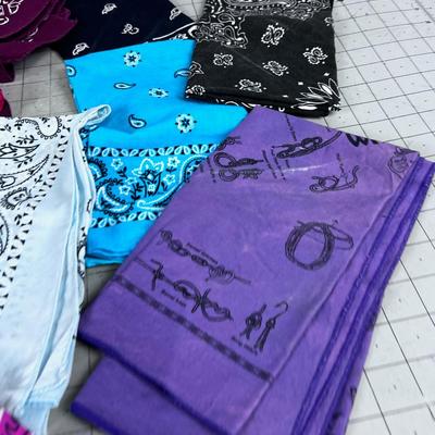 all the BANDANAS in the World 