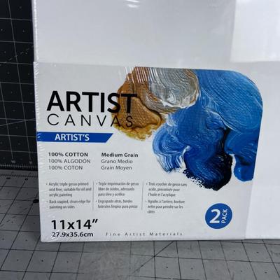 Artist Canvas (2) 