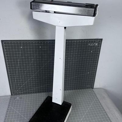 Sears Scale 