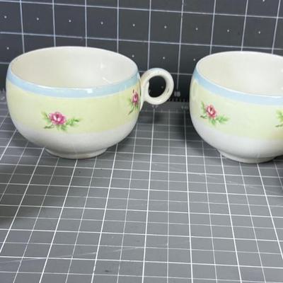 Salt & Pepper plus 2 cup in Bone China with Rose