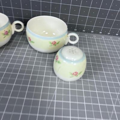 Salt & Pepper plus 2 cup in Bone China with Rose