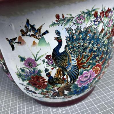 Peacock Pot, NICE!