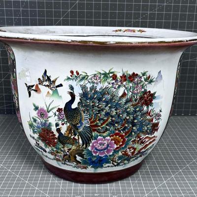 Peacock Pot, NICE!
