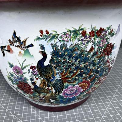 Peacock Pot, NICE!