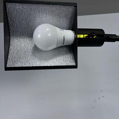 Floor Lamp with Adjustable Height 