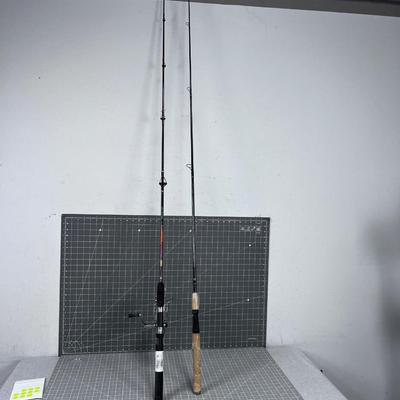 2 Fishing Poles - Only 1 has a reel