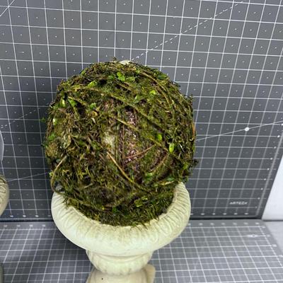 Decorative Topiaries 