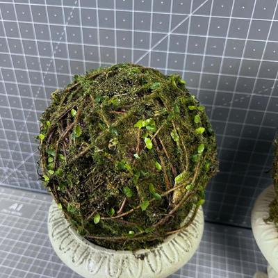 Decorative Topiaries 