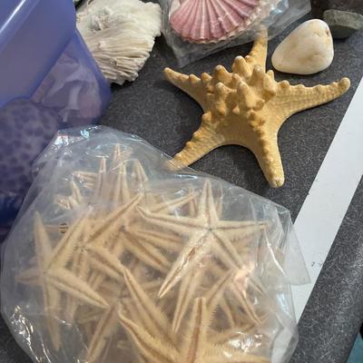 B15- Seashells, sea glass & stones