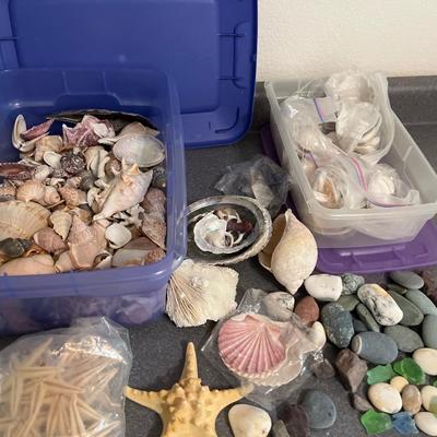 B15- Seashells, sea glass & stones