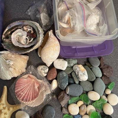 B15- Seashells, sea glass & stones