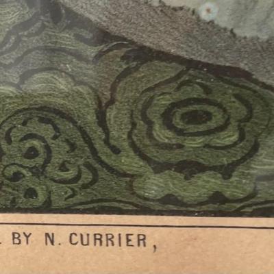 Litho, N. Currier, My Darling Boy